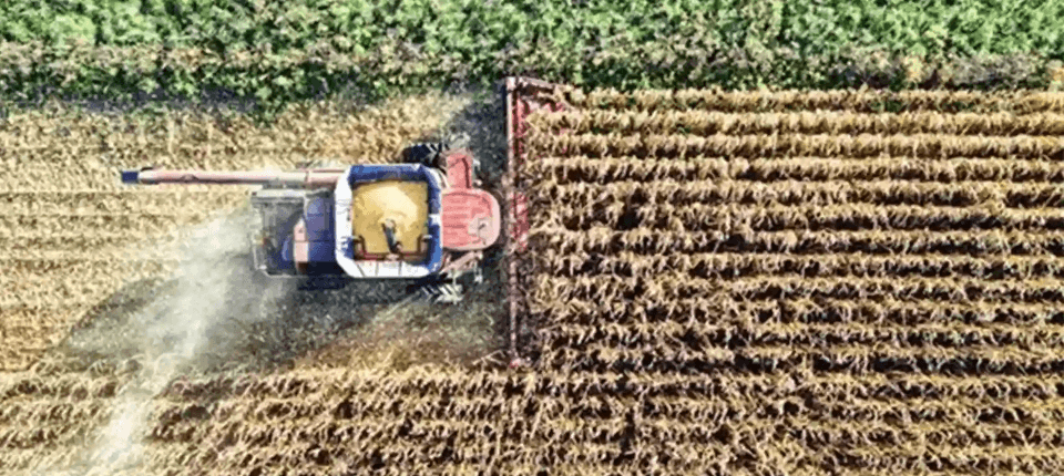 Agricultura